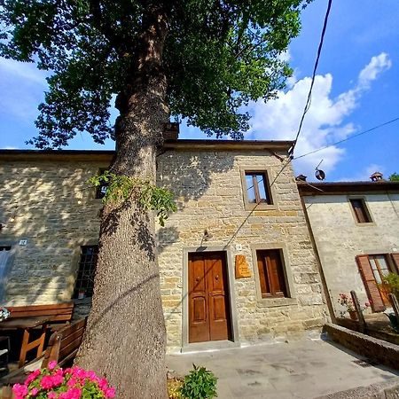 Ferienwohnung Casina La Quercia Santa Sofia Exterior foto