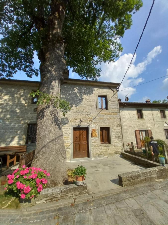 Ferienwohnung Casina La Quercia Santa Sofia Exterior foto