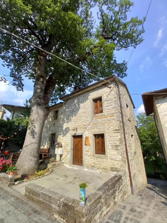 Ferienwohnung Casina La Quercia Santa Sofia Exterior foto