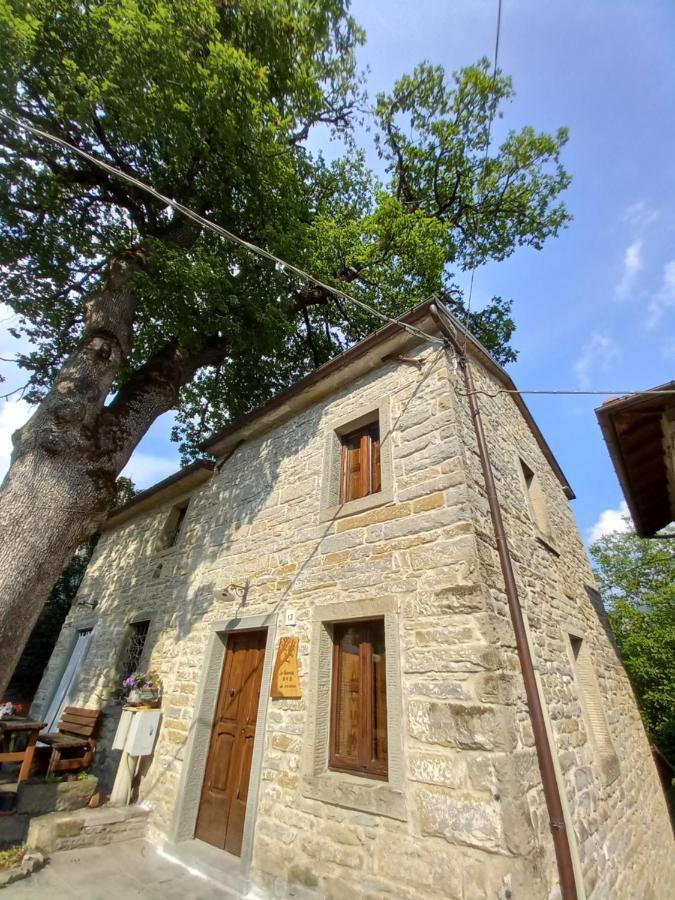 Ferienwohnung Casina La Quercia Santa Sofia Exterior foto